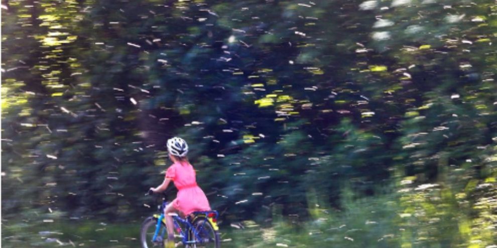 A girl rides a bicycle beside a river as heavy pollen drifts through the air from nearby trees in Frankfurt, Germany.