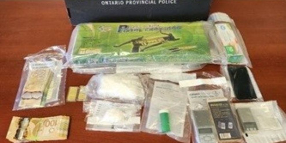 Image provided by Southern Georgian Bay OPP