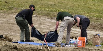 “Horrific Scene”: 117 Dogs Found Dead at California “No-Kill” Shelter