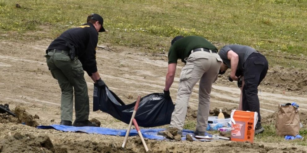“Horrific Scene”: 117 Dogs Found Dead at California “No-Kill” Shelter