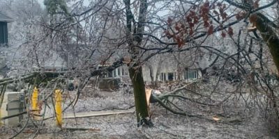 Ice storm damage at St. Vincent Park in Barrie on March 30, 2025.