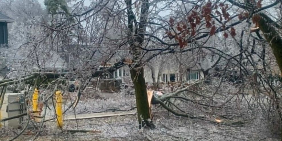 Ice storm damage at St. Vincent Park in Barrie on March 30, 2025.