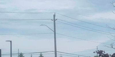 A hydro pole is pictured on Huronia Street in Barrie on June 29, 2026