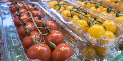 Cherry tomatoes displayed for sale at Jean-Talon Market in Montreal.