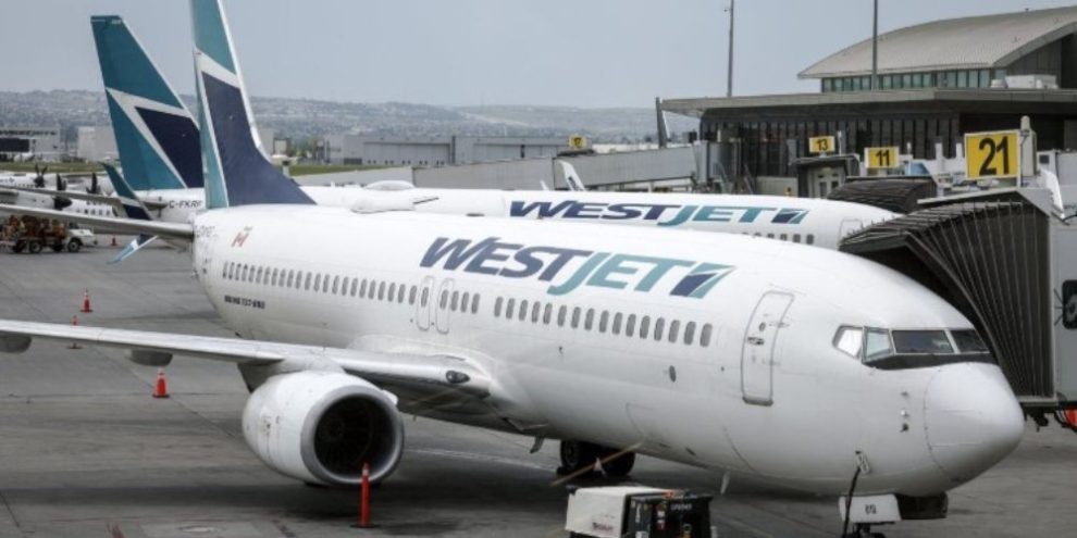WestJet passenger jets parked at departure gates at Calgary International Airport.