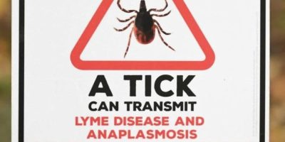 A sign warning hikers about ticks on a wooded trail in the Eastern Townships of Quebec