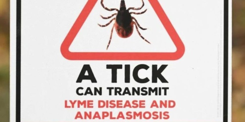 A sign warning hikers about ticks on a wooded trail in the Eastern Townships of Quebec