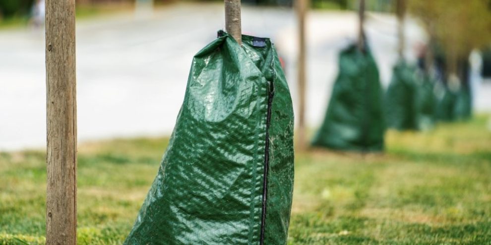 Free tree watering bags provided by the City of Barrie for newly planted boulevard trees.