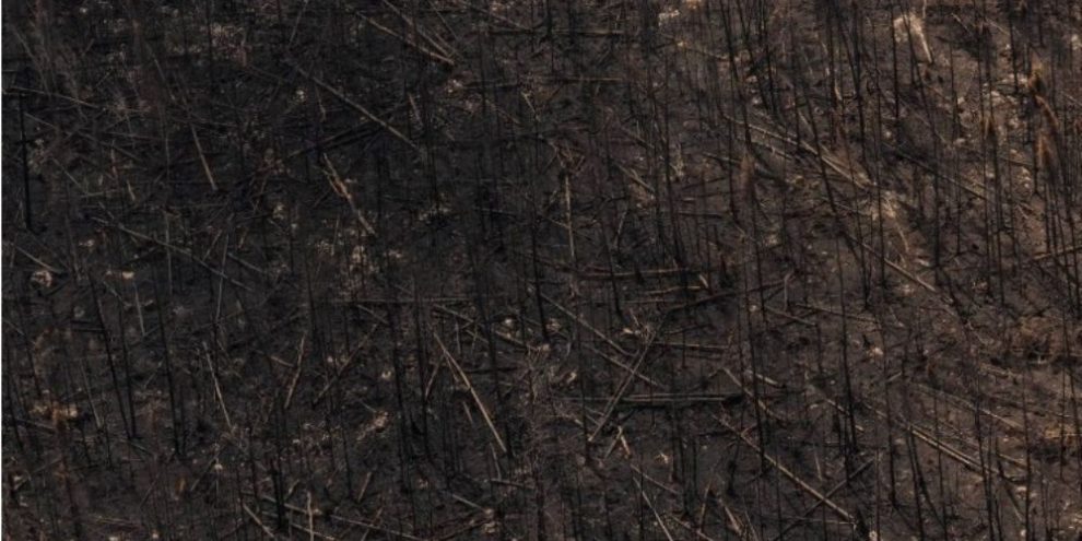 Wildfire damage near Collins First Nation in northwestern Ontario after the 2026 wildfire season