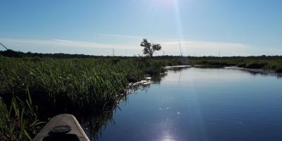 Minesing Wetlands in Southern Ontario