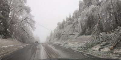 Damage from the 2025 ice storm in Oro-Medonte.