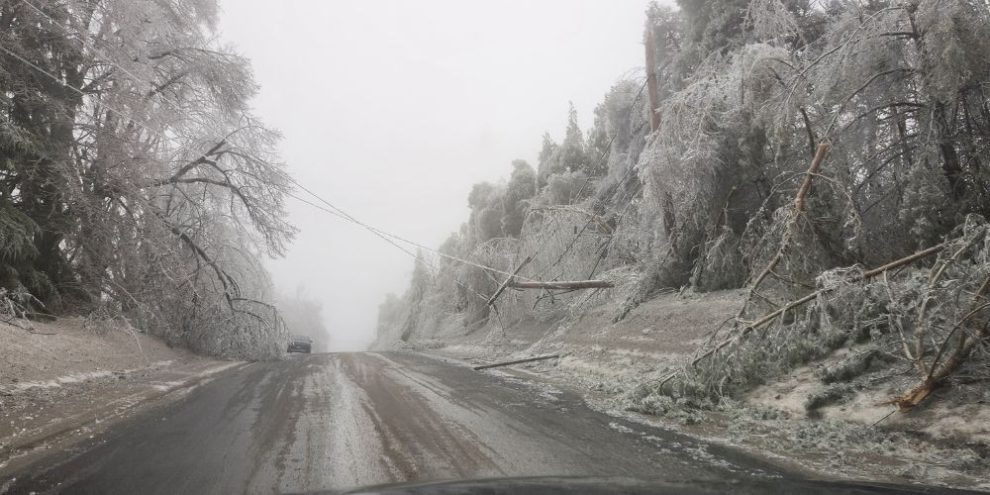 Damage from the 2025 ice storm in Oro-Medonte.