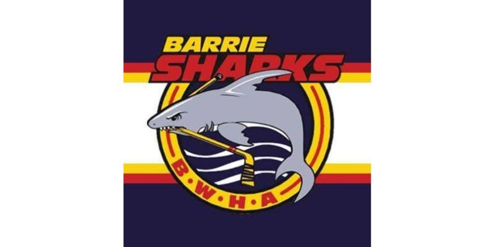 Barrie Sharks receive $3,000 sponsorship through RONA Rookies program