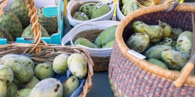 Thousands gather in Quebec to celebrate North America's forgotten fruit