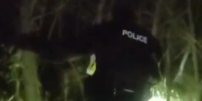 South Simcoe Police search the Simcoe County Forest for a missing hiker.